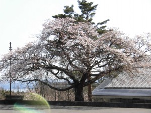 新入生オリエンテーション⑥