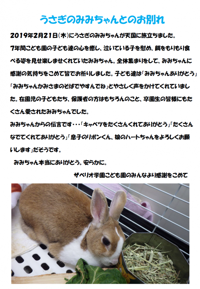 うさぎみみちゃん