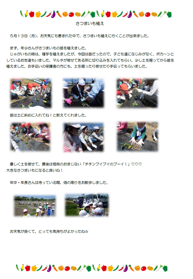 さつまいも植え