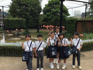 49BEF81E-C0D7-467A-846F-F26FECCE0A59