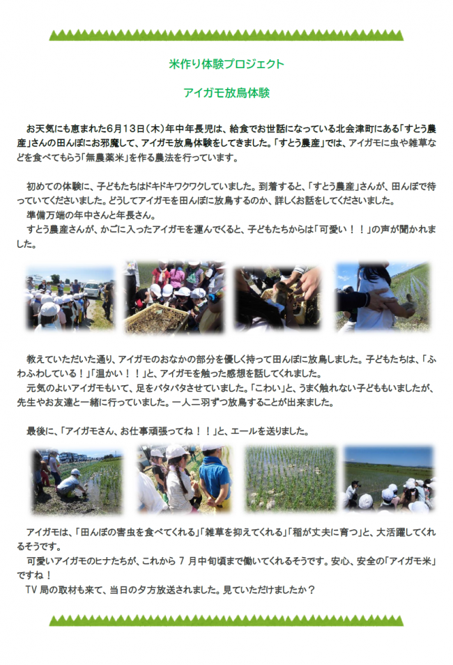 プロジェクト米つくり体験