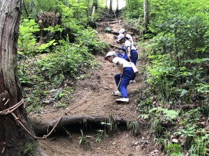 CF5DED6B-CFD5-4900-A490-626A93AE69BB