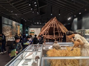 MVIMG_20191120_140906