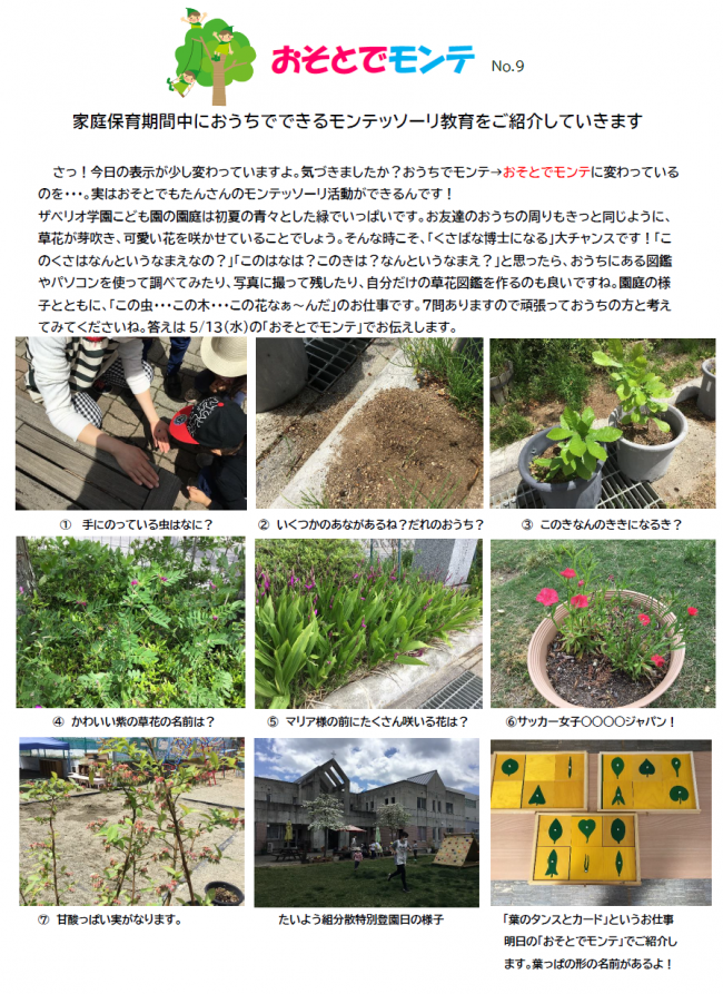 おそとでモンテNo9