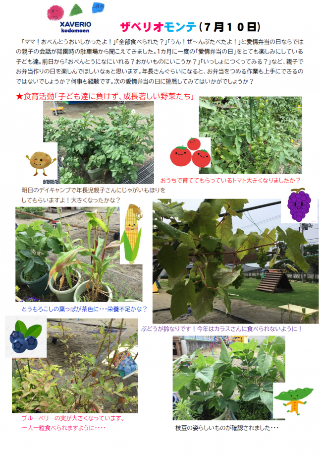 ザベリオモンテ７月１０日