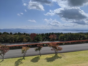 PXL_20201014_023459788