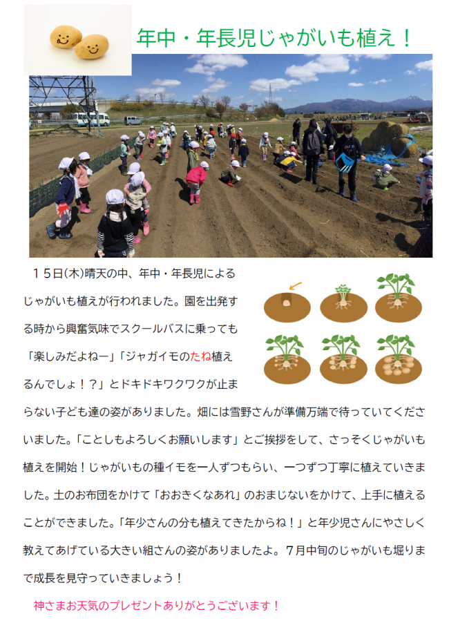 年長児・年中児じゃがいも植え