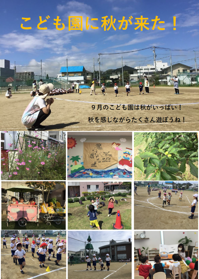こども園に秋が来た！