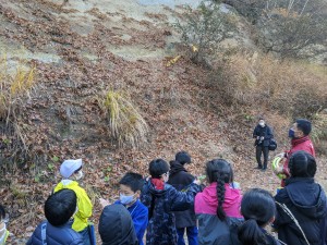 PXL_20211112_012454328