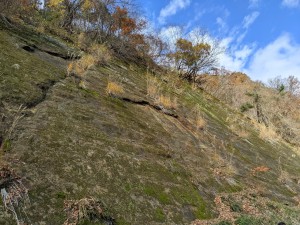 PXL_20211112_013812680