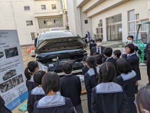 PXL_20211119_050258393