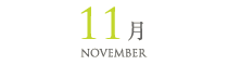 11月