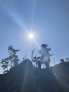 D4DFF2F3-F415-4FA9-A9E2-09209AFE0159