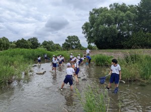 PXL_20220715_004649219